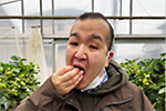いちごをパクリ